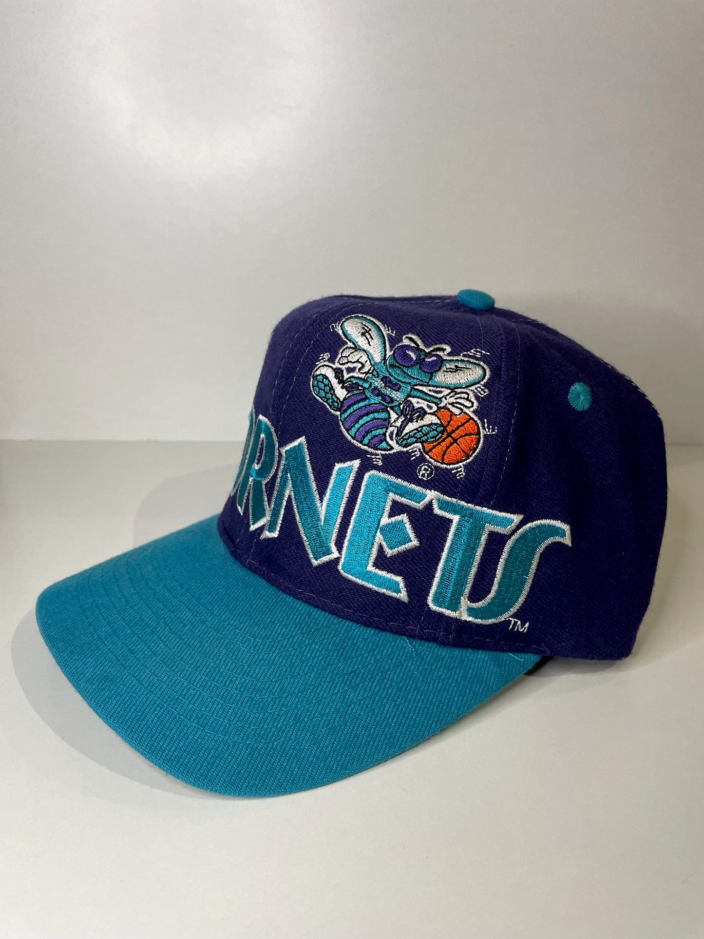 VINTAGE 90s CHARLOTTE HORNETS T.E.I SNAPBACK CAP HAT