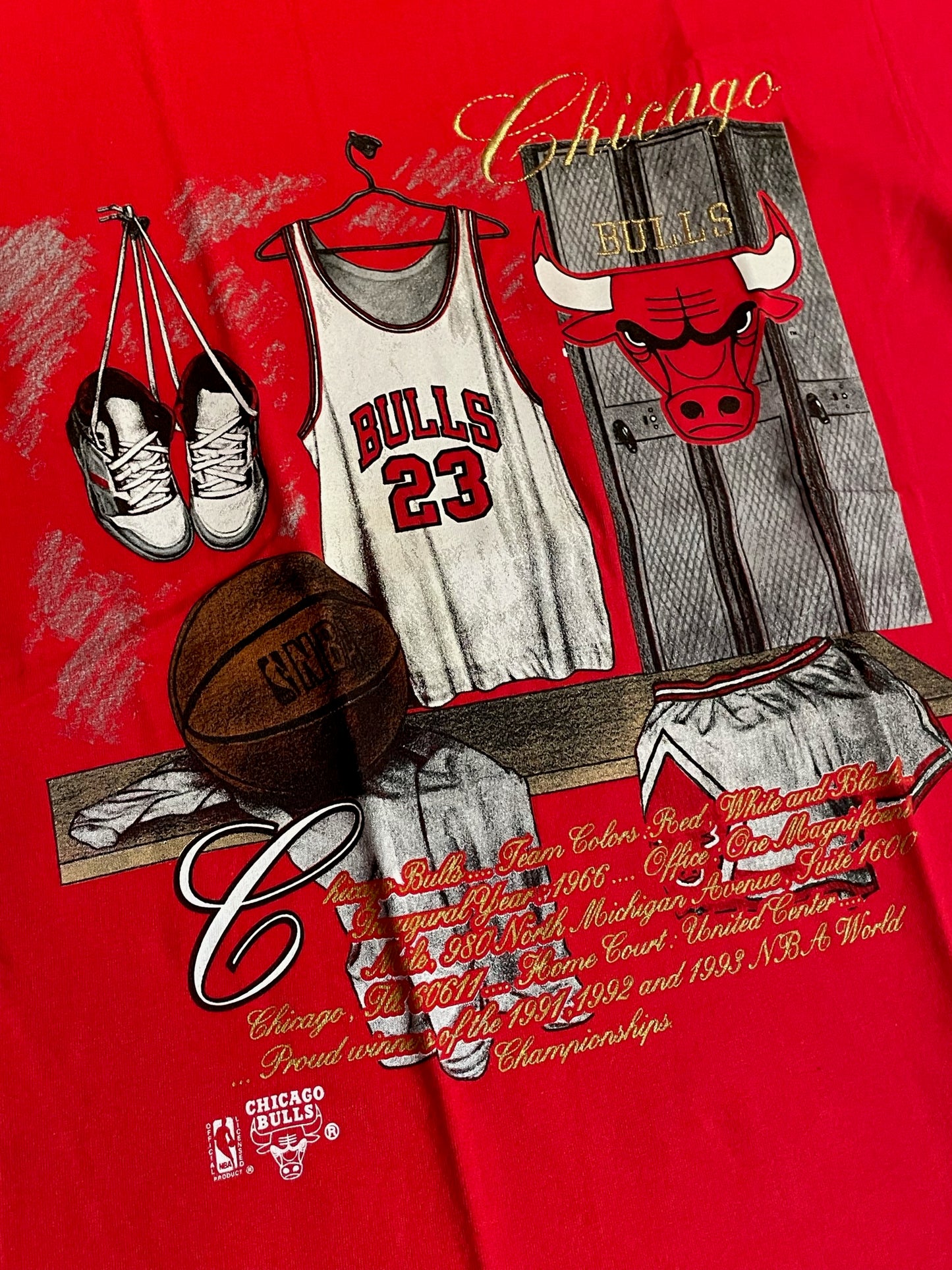 VINTAGE 90s NUTMEG CHICAGO BULLS "JORDAN" NBA T-SHIRT SZ: L