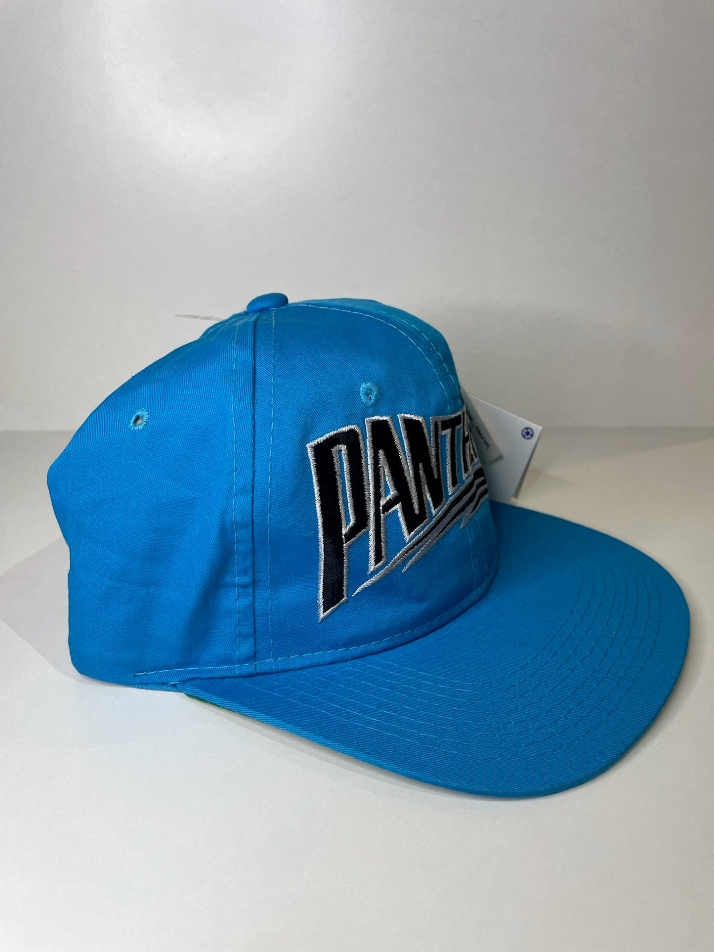 "DS" VINTAGE 90s CAROLINA PANTHERS STARTER SNAPBACK CAP HAT