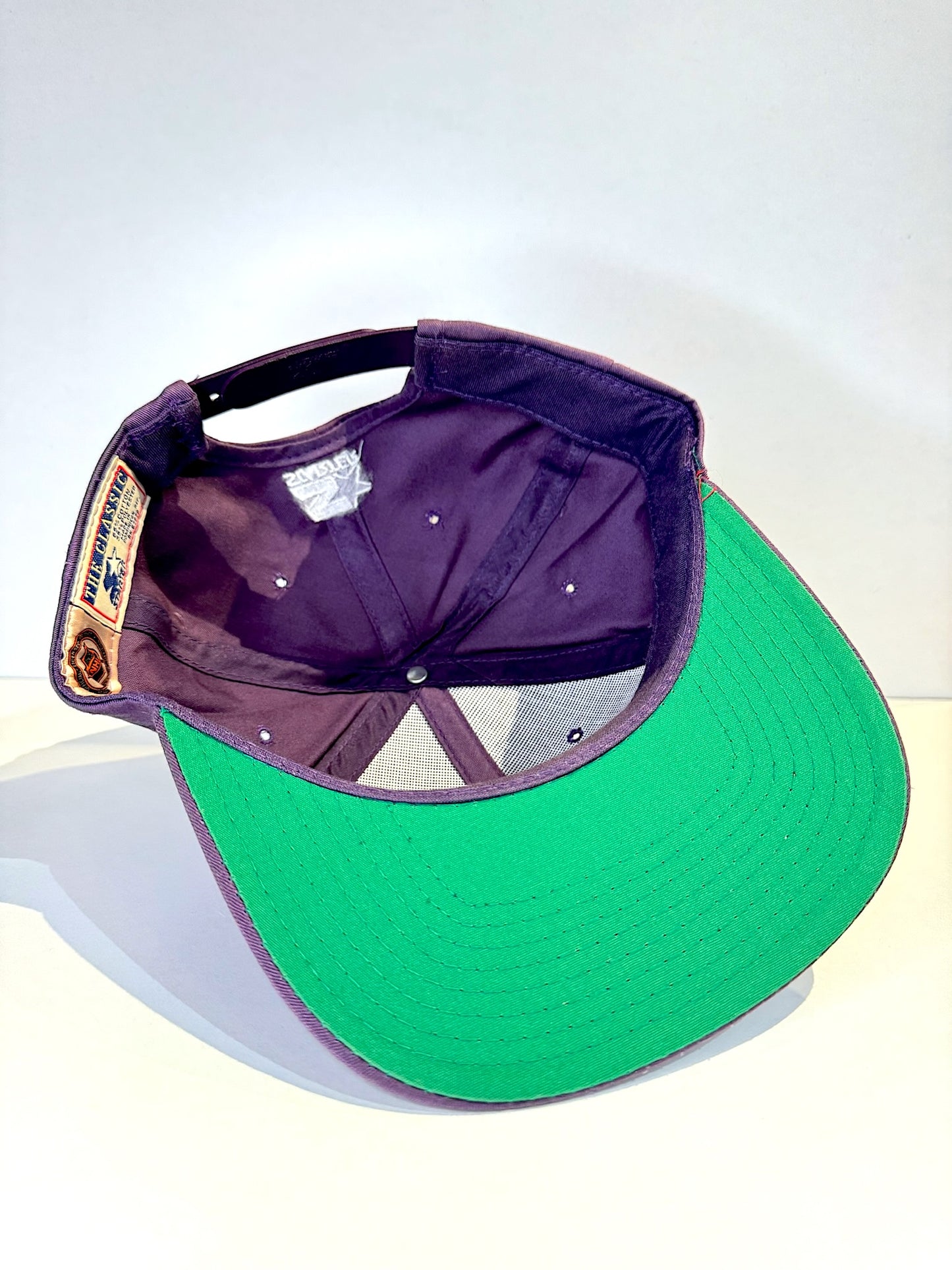VINTAGE 90s MIGHTY DUCKS "SCRIPT" STARTER SNAPBACK CAP HAT
