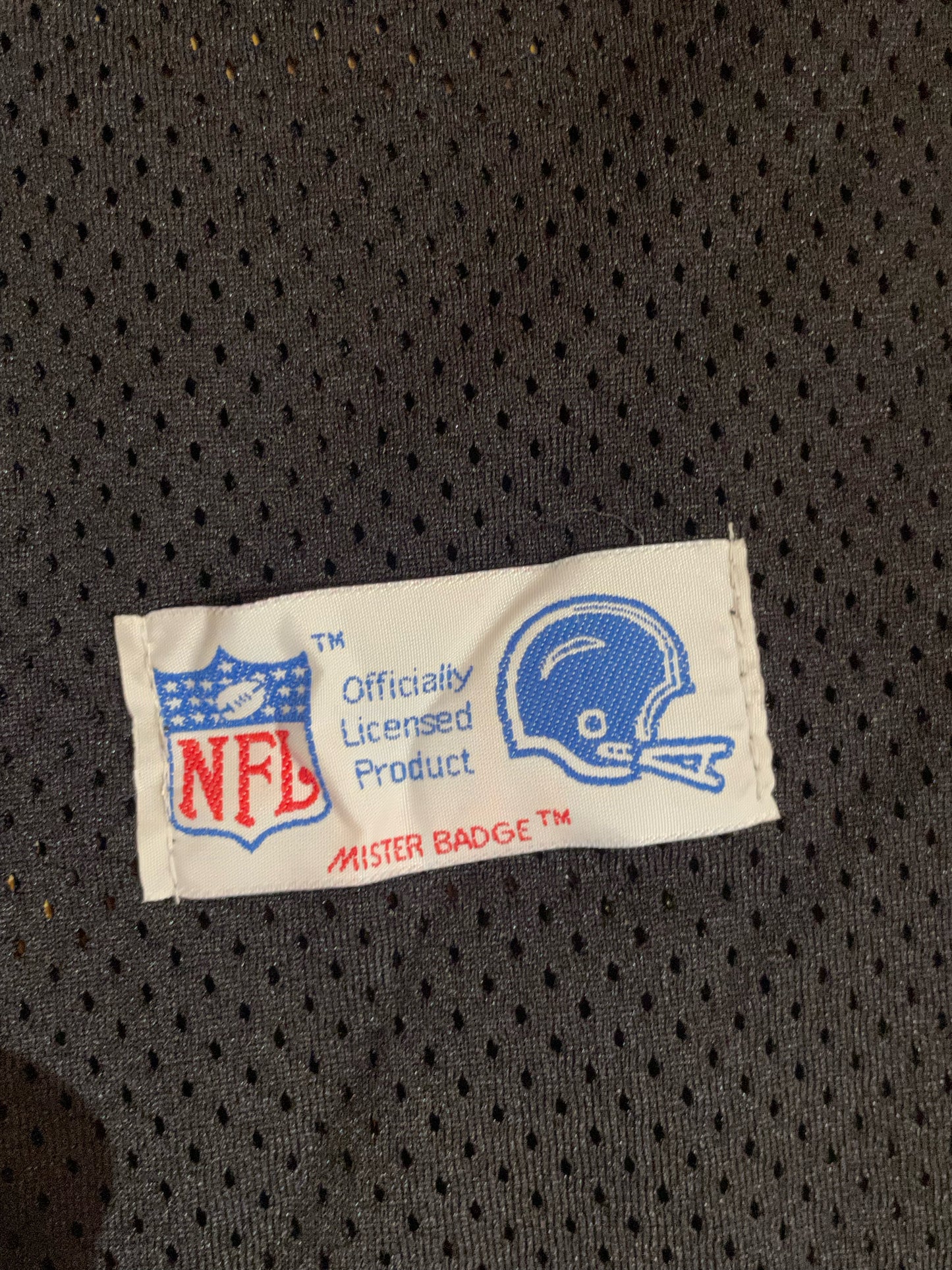 "DS" VINTAGE 90s PRO ONE LOS ANGELES RAIDERS "32" NFL JERSEY SZ: One size