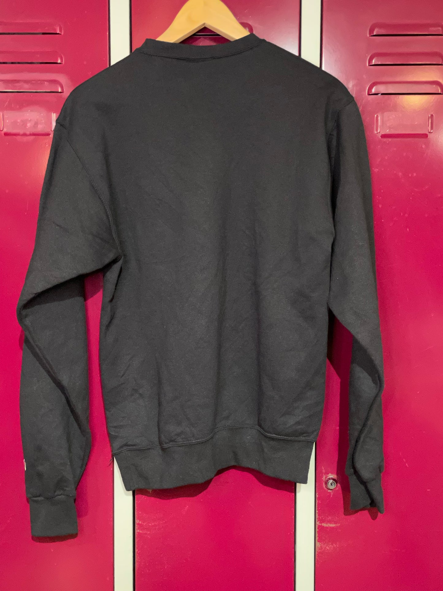 CHAMPION APPALACHAN STATE 00s "ONE MOORE TIME" NCAA CREWNECK SWEATSHIRT  SZ: S