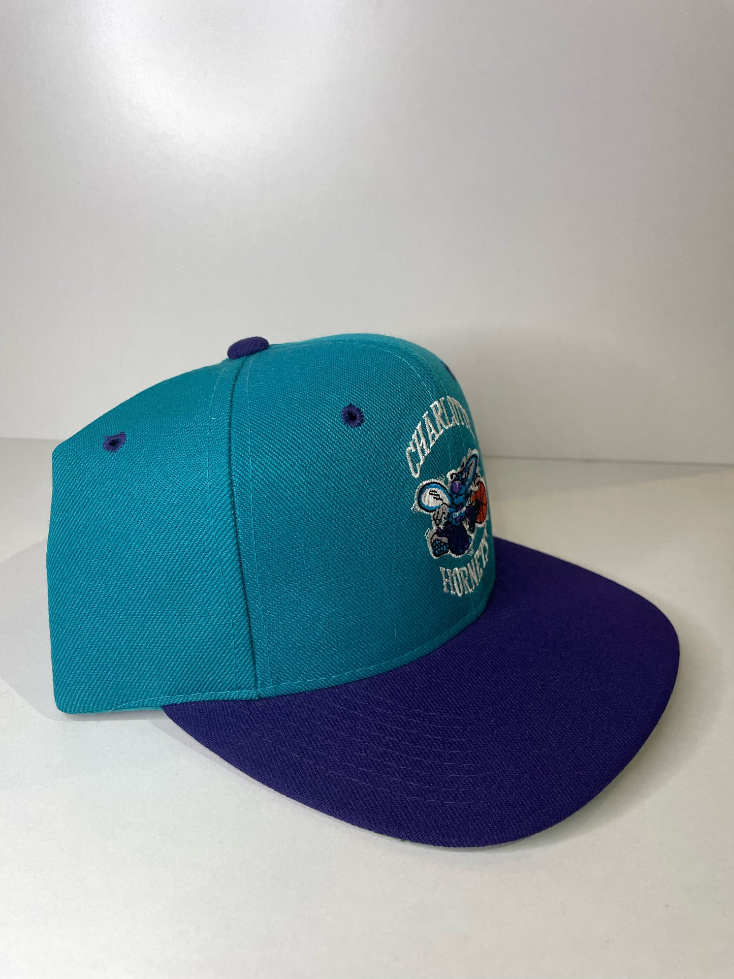 VINTAGE 90s CHARLOTTE HORNETS THE G CAP SNAPBACK CAP HAT