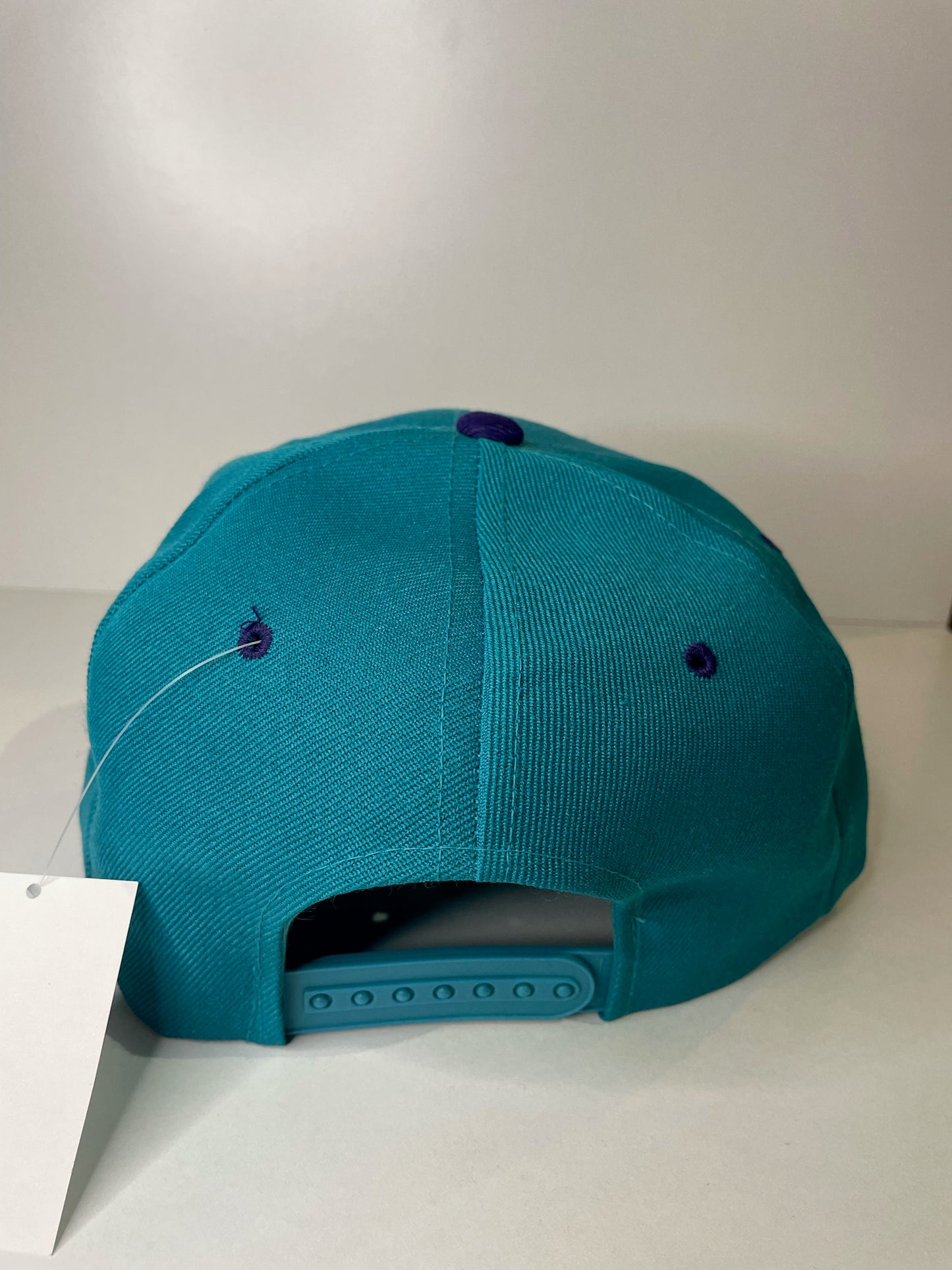 VINTAGE 90s CHARLOTTE HORNETS THE G CAP SNAPBACK CAP HAT