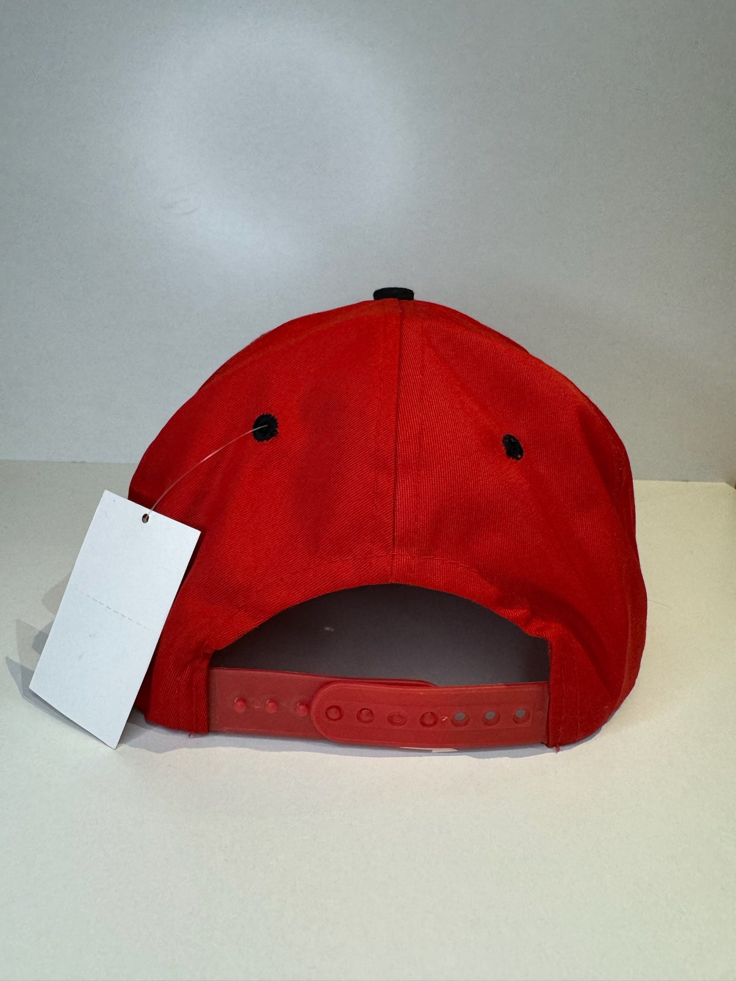 VINTAGE 1993 SAN FRANCISCO 49ERS AMCAP SNAPBACK CAP HAT