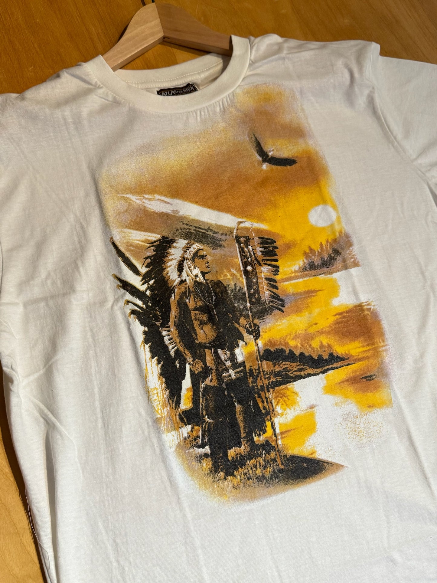 ILLUSTRATION OF A LANDSCAPE WITH AN INDIAN T-SHIRT SZ: XL