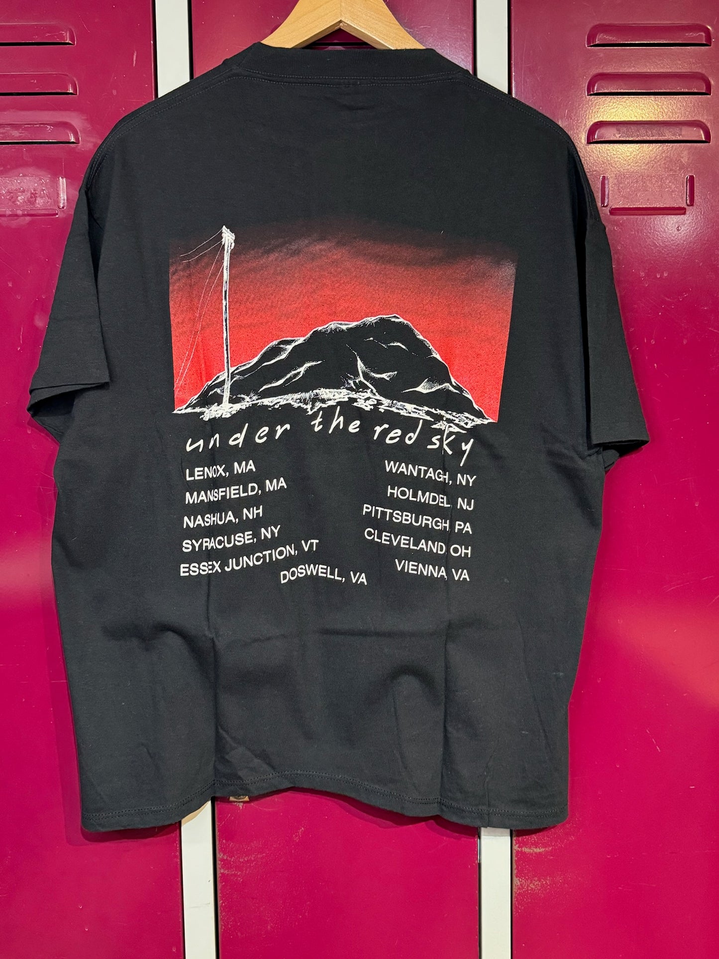 VINTAGE 1990 BOB DYLAN "UNDER THE RED SKY TOUR" MUSIC T-SHIRT SZ: XL