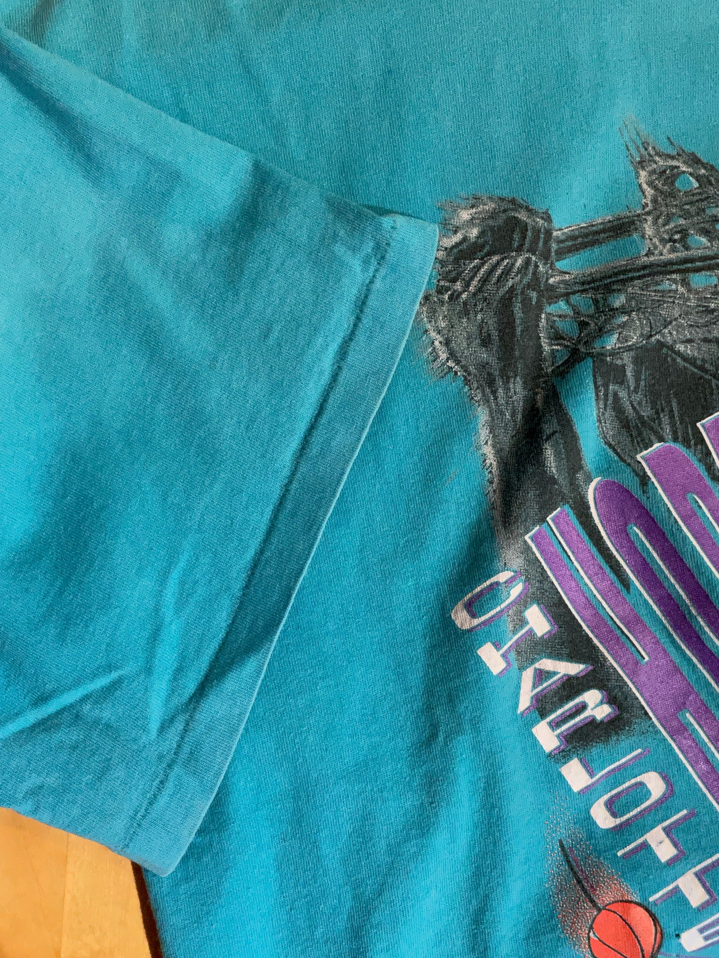 "KIDS" VINTAGE SALEM CHARLOTTE HORNETS NBA BASKETBALL T-SHIRT SZ: 14-16 = XS/S