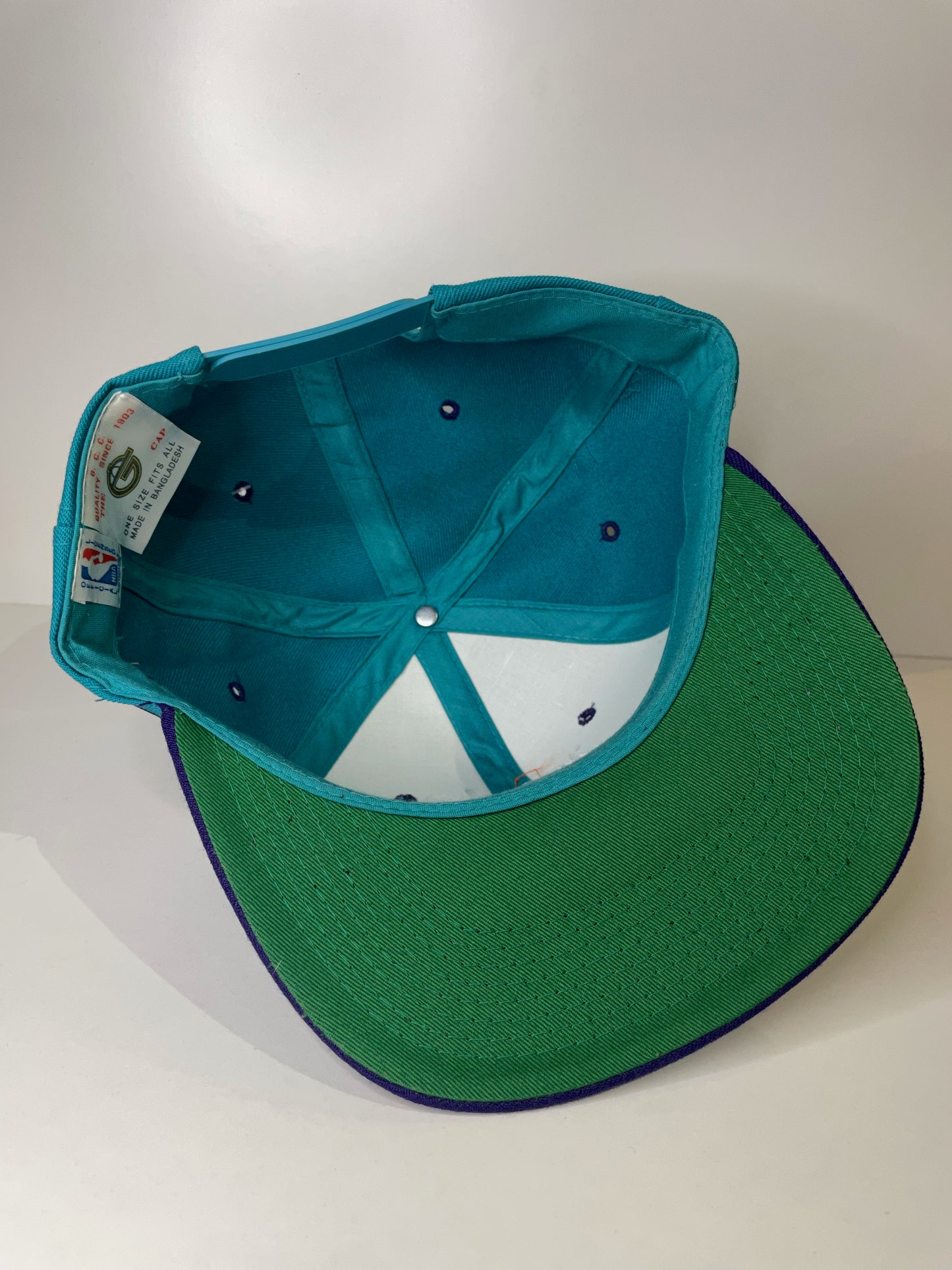 VINTAGE 90s CHARLOTTE HORNETS THE G CAP SNAPBACK CAP HAT