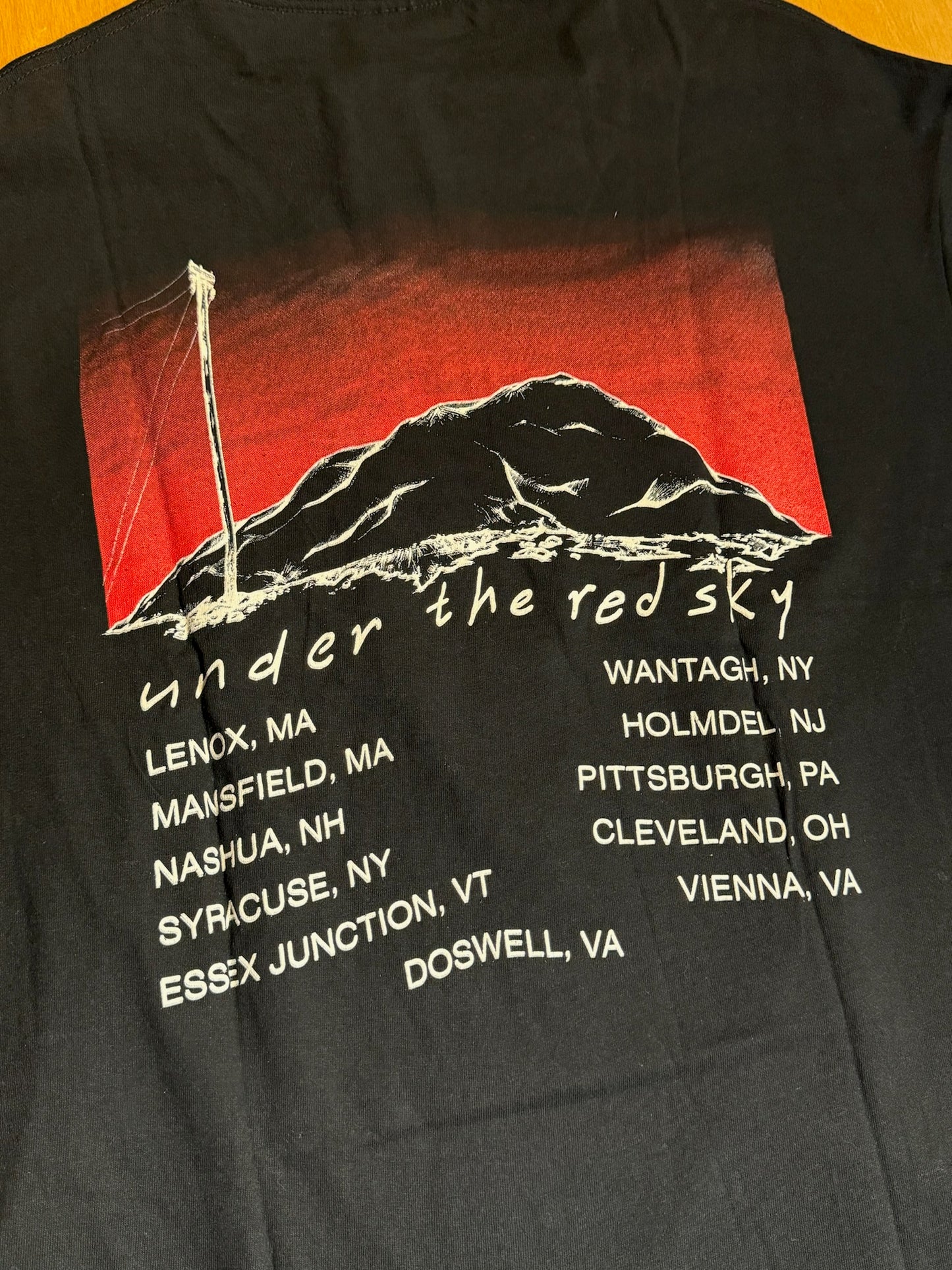 VINTAGE 1990 BOB DYLAN "UNDER THE RED SKY TOUR" MUSIC T-SHIRT  SZ: XL